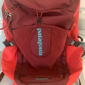 Patagonia Day Pack